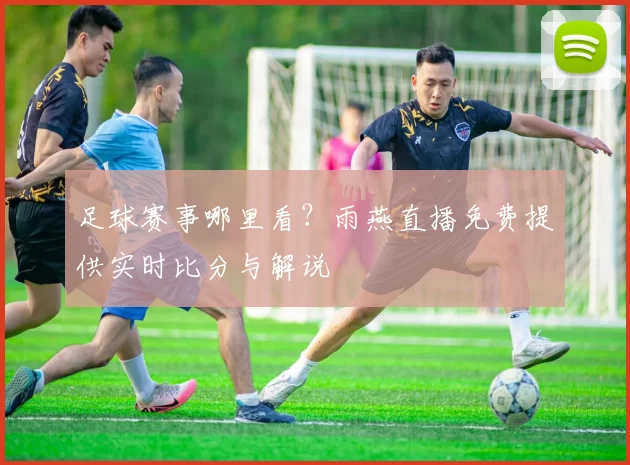 足球赛事哪里看?雨燕直播免费提供实时比分与解说
