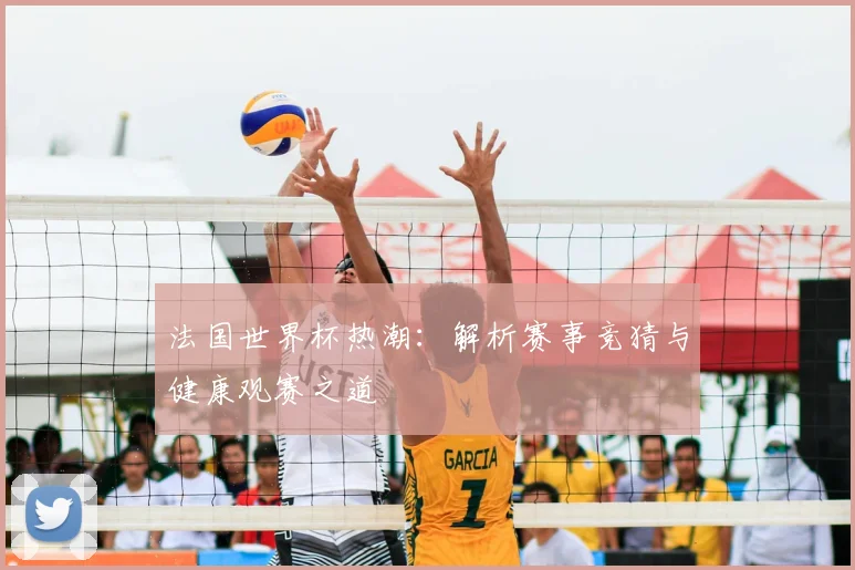 法国世界杯热潮：解析赛事竞猜与健康观赛之道