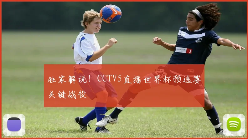 独家解说！CCTV5直播世界杯预选赛关键战役