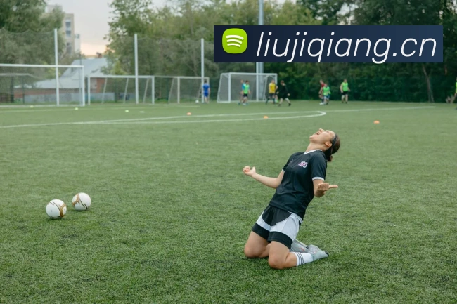 九游体育下载官网服务体系